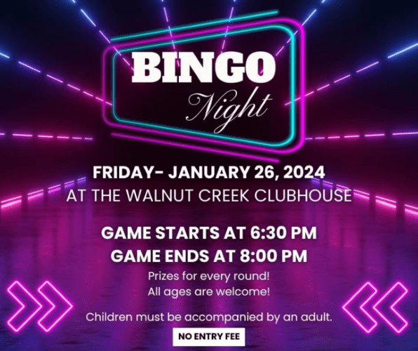 Bingo Night