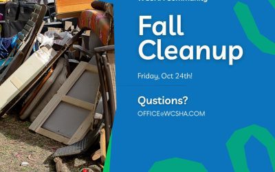 Fall Clean-up