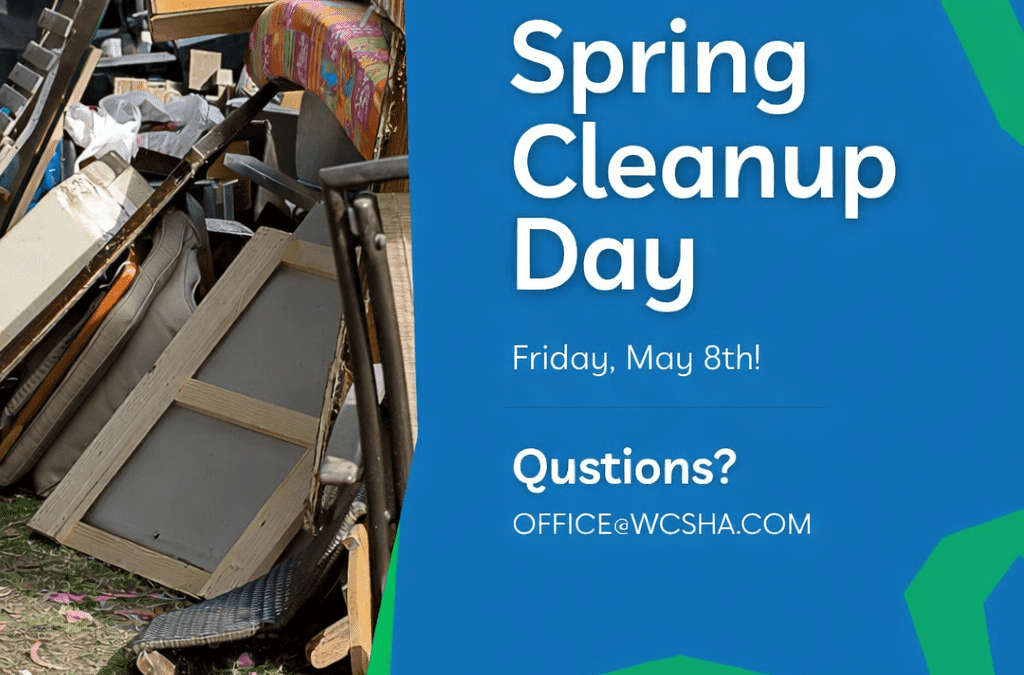 Spring Clean-up