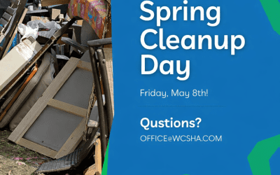 Spring Clean-up